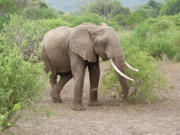 Urlaub Afrika – Bild 13 von 352
