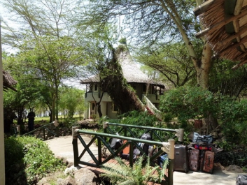 Urlaub Afrika – Bild 148 von 352
