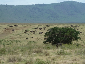 Urlaub Afrika – Bild 169 von 352