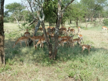 Urlaub Afrika – Bild 64 von 352