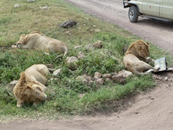 Urlaub Afrika – Bild 38 von 352
