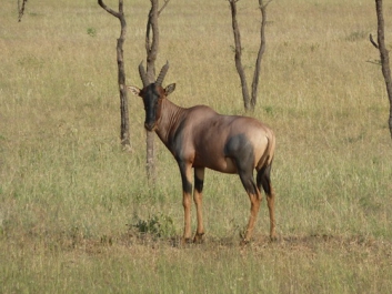 Urlaub Afrika – Bild 62 von 352