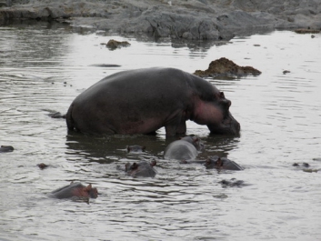 Urlaub Afrika – Bild 326 von 352