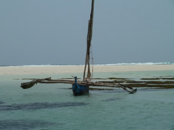 Urlaub Afrika – Bild 268 von 352