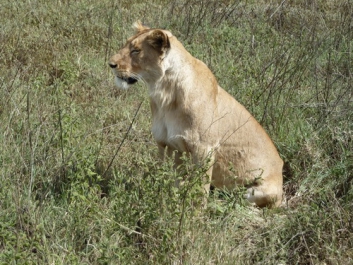 Urlaub Afrika – Bild 40 von 352