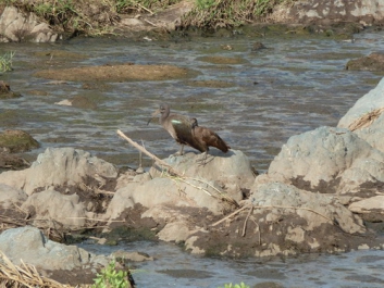Urlaub Afrika – Bild 216 von 352