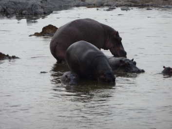 Urlaub Afrika – Bild 60 von 352