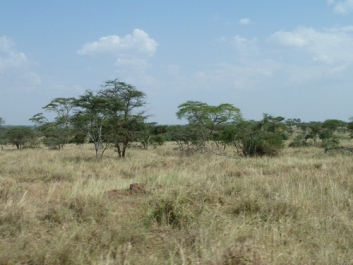 Urlaub Afrika – Bild 234 von 352