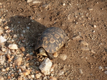 Urlaub Afrika – Bild 211 von 352