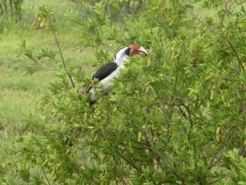 Urlaub Afrika – Bild 82 von 352