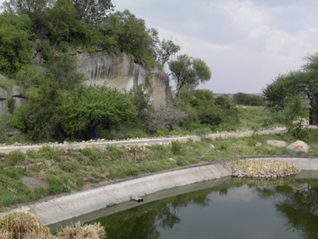 Urlaub Afrika – Bild 323 von 352