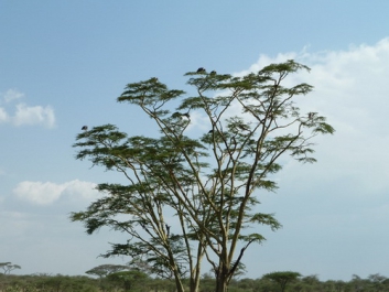 Urlaub Afrika – Bild 233 von 352