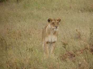 Urlaub Afrika – Bild 310 von 352