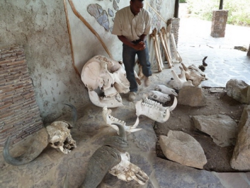 Urlaub Afrika – Bild 69 von 352