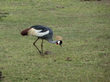 Urlaub Afrika – Bild 157 von 352