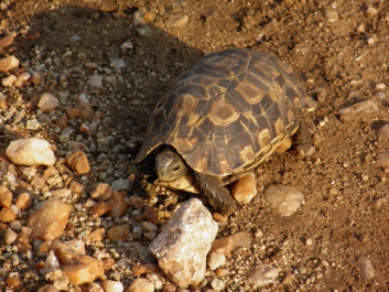 Urlaub Afrika – Bild 327 von 352