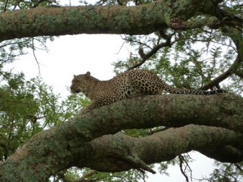 Urlaub Afrika – Bild 239 von 352