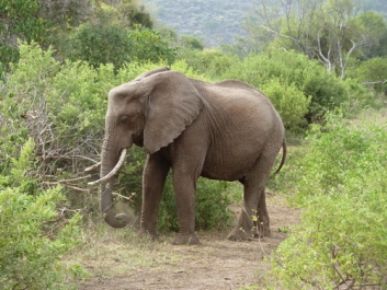 Urlaub Afrika – Bild 156 von 352