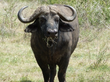 Urlaub Afrika – Bild 35 von 352