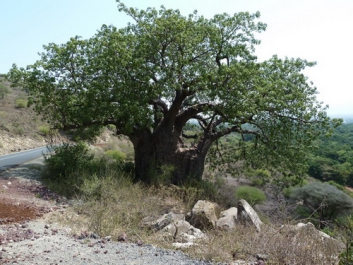 Urlaub Afrika – Bild 8 von 352