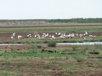 Urlaub Afrika – Bild 15 von 352