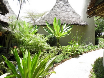 Urlaub Afrika – Bild 279 von 352