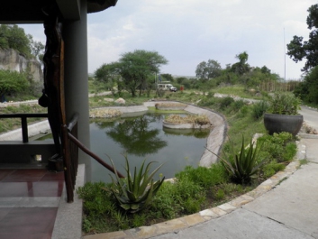 Urlaub Afrika – Bild 322 von 352