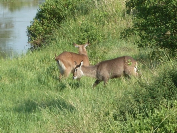 Urlaub Afrika – Bild 63 von 352