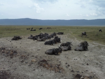 Urlaub Afrika – Bild 182 von 352