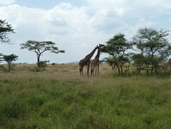 Urlaub Afrika – Bild 200 von 352