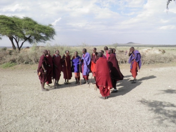 Urlaub Afrika – Bild 301 von 352