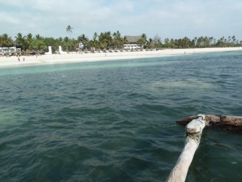 Urlaub Afrika – Bild 97 von 352