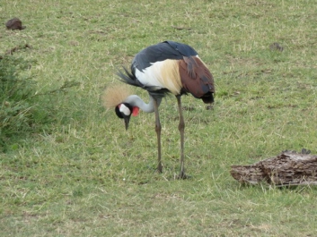 Urlaub Afrika – Bild 16 von 352
