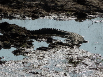 Urlaub Afrika – Bild 217 von 352