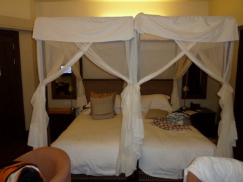 Urlaub Afrika – Bild 209 von 352