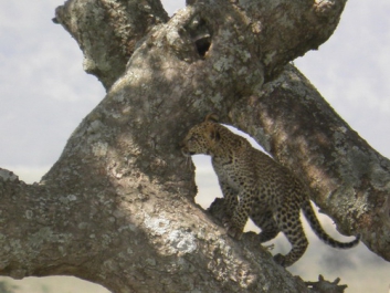 Urlaub Afrika – Bild 336 von 352