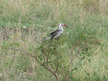 Urlaub Afrika – Bild 80 von 352