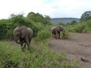 Urlaub Afrika – Bild 12 von 352