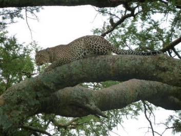 Urlaub Afrika – Bild 71 von 352