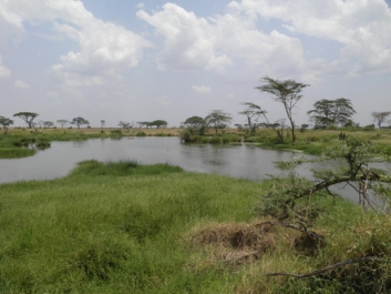 Urlaub Afrika – Bild 338 von 352