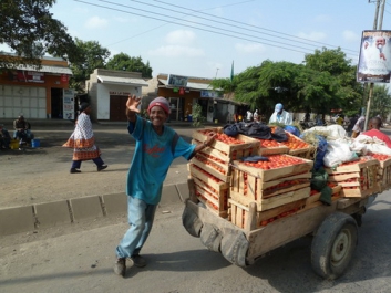 Urlaub Afrika – Bild 2 von 352