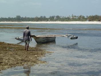 Urlaub Afrika – Bild 123 von 352