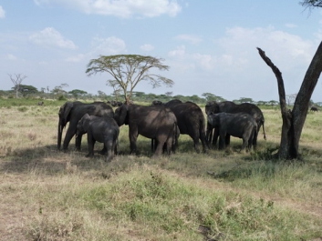 Urlaub Afrika – Bild 231 von 352