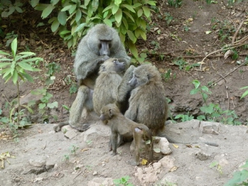 Urlaub Afrika – Bild 9 von 352