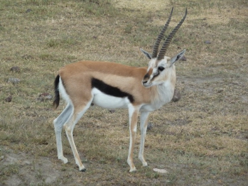 Urlaub Afrika – Bild 42 von 352