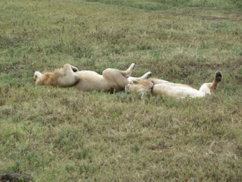 Urlaub Afrika – Bild 46 von 352