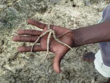 Urlaub Afrika – Bild 104 von 352