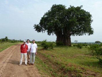 Urlaub Afrika – Bild 249 von 352