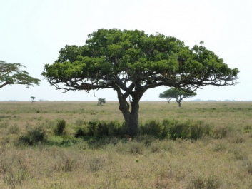 Urlaub Afrika – Bild 219 von 352