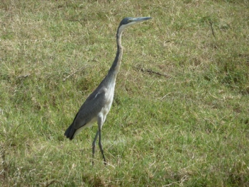 Urlaub Afrika – Bild 41 von 352